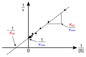 Lineweaver-Burke plot.svg