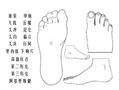 互动版人体穴位图足部.jpg