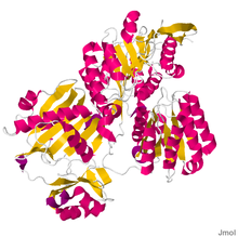 Atpcitratelyase.pdb.png