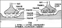 Bk7sx.jpg