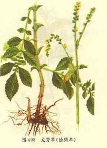 Gyl7s556.jpg