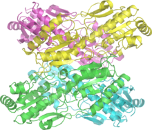Phosphofructokinase 6PFK wpmp.png