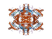 PDB 1j21 EBI.jpg