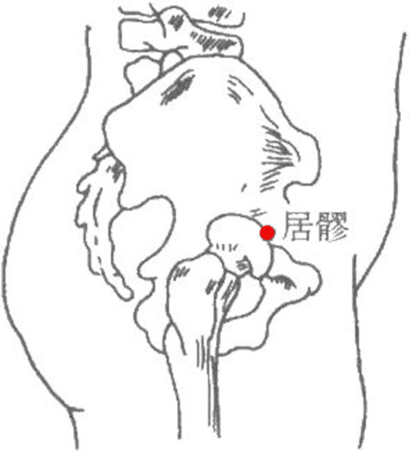 居髎穴的位置