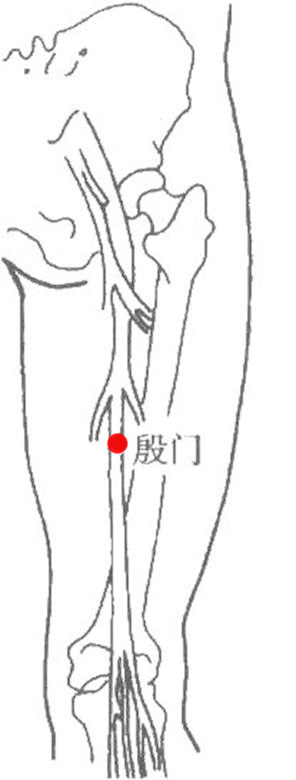 殷门穴的位置