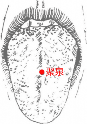 经外奇穴——聚泉穴的位置