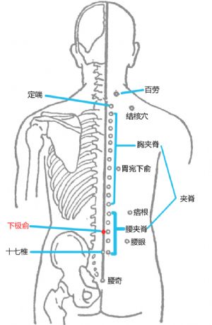 经外奇穴——下极俞的位置