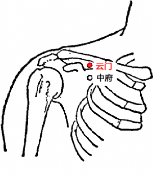 云门穴的位置.png
