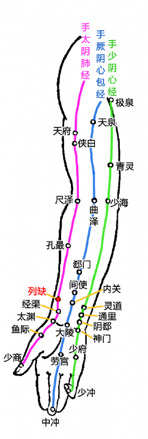 上肢内侧部经穴——列缺的位置.png