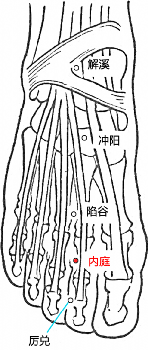 内庭穴的位置.png