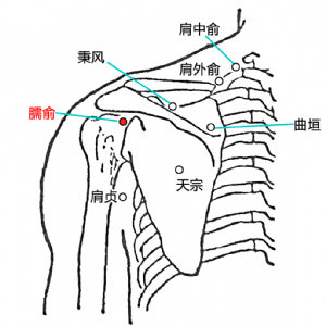 臑俞穴的位置.png