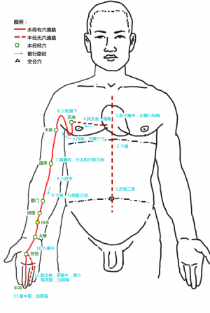 内关穴在手厥阴心包经中的位置
