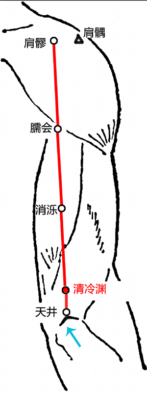 清泠渊穴在上臂的位置