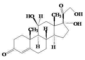 image001.png