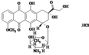 image005.png