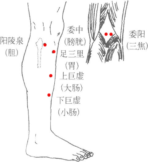 六腑下合穴