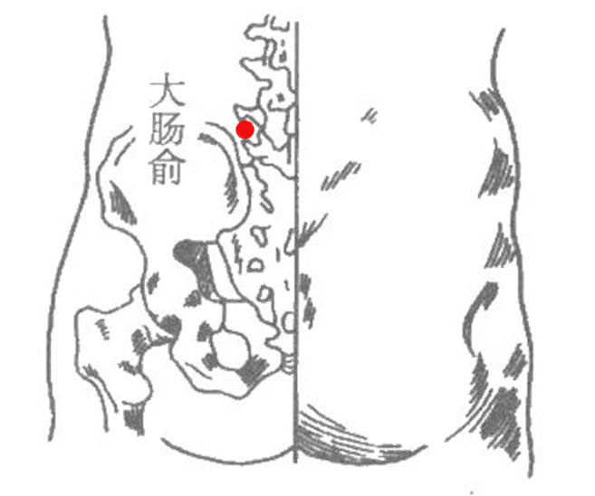 大腸俞的位置