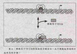图三