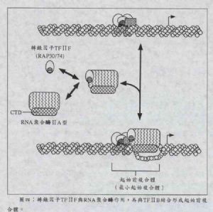 图四