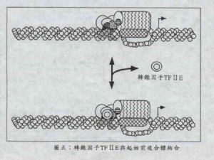 图五