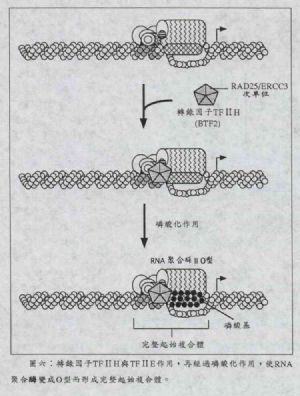 图六