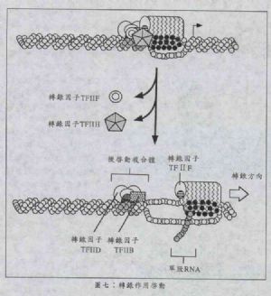 图七