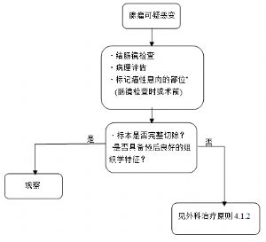 附图-2  腺瘤恶变的处理流程