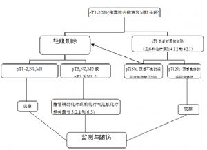 附图-3  I期结直肠癌的处理流程