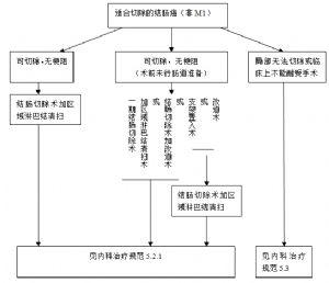 附图-5  II/III期结肠癌处理流程