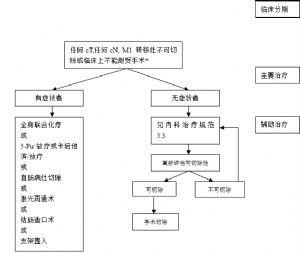 附图-10 转移灶不可切除的结直肠癌处理流程