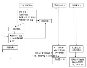 附图-12 复发转移处理流程