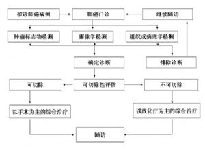 图1 肺癌规范化诊治流程
