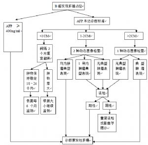 图1 肝癌诊断流程