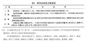 表3 霍奇金病的分期系統
