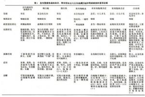 急性隱窩性扁桃體炎、樊尚咽峽炎與全身疾病引起的咽部病變的鑑別診斷