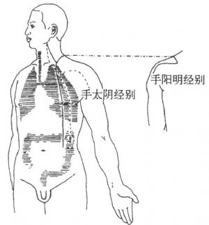 第六合：手陽明、手太陰經別