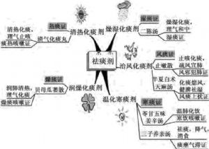 祛痰劑的主要比較