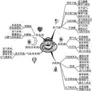 补益剂的主要比较