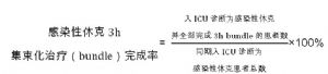 感染性休克3h集束化治療（bundle）完成率