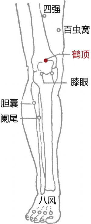 经外奇穴——鹤顶的位置