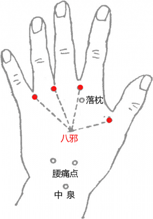 經外奇穴八邪的位置