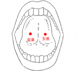 經外奇穴——金津玉液的位置