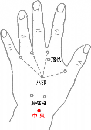 经外奇穴——中泉穴的位置