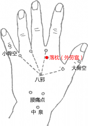 經外奇穴——外勞宮的位置