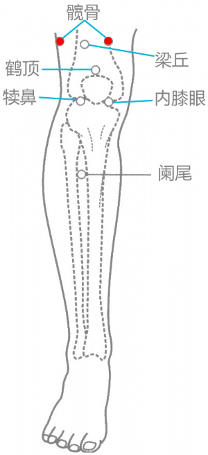 經外奇穴——髖骨穴的位置