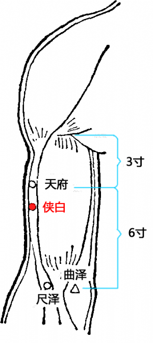 俠白的位置