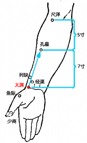 太淵的位置
