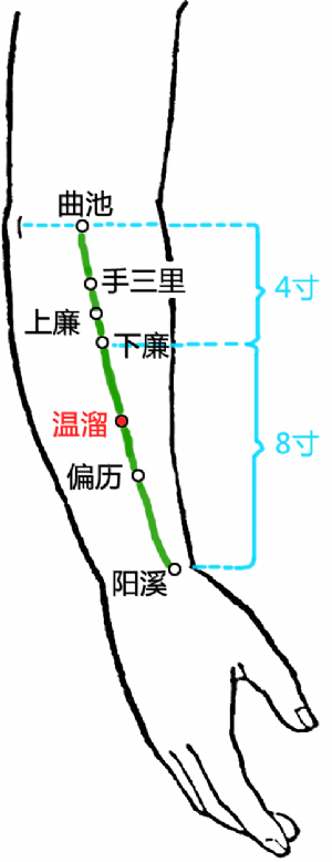 溫溜穴的位置