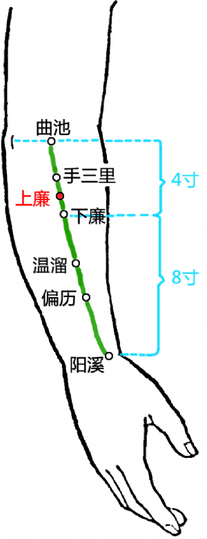 上廉穴的位置