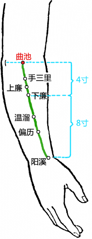 曲池穴的位置
